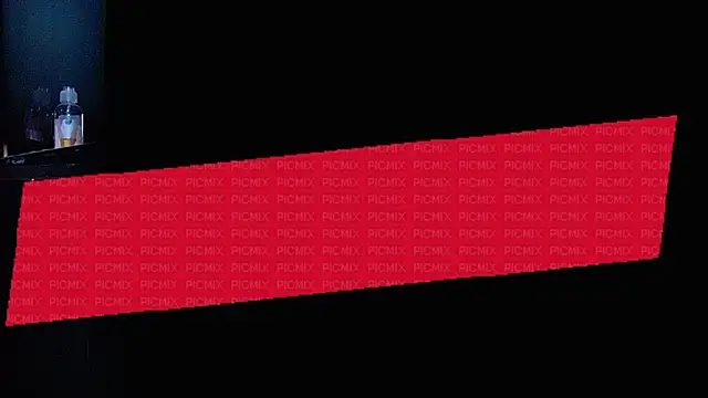 the_dog_liann Webbikameraesitys