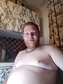Baumhackel Webcam Show
