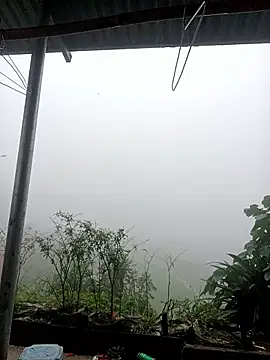 linda_bae00 웹캠 쇼