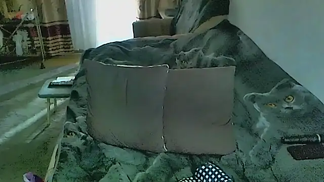 sex2のライブXXXチャット