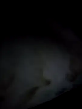 KamillaSpencer Chat XXX live