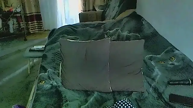 sex2: онлайн-секс-чат