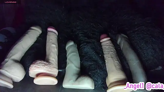 Cata-angel 现场XXX聊天