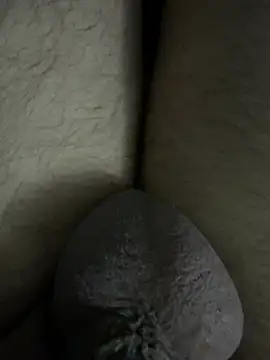 Show Webcam de Simplemind2