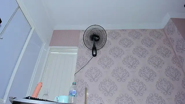 Živý XXX chat Kendall_curves