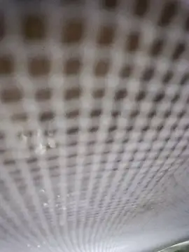 Webkamerová show Tina6886