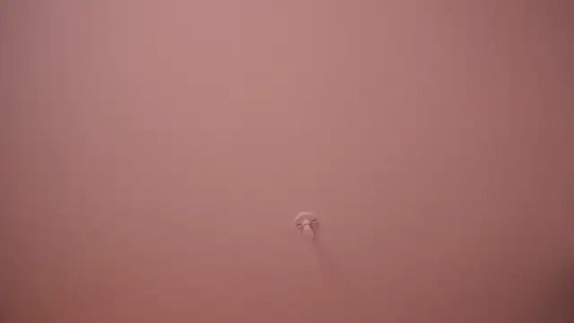 Chat XXX en directo de bella_adams_