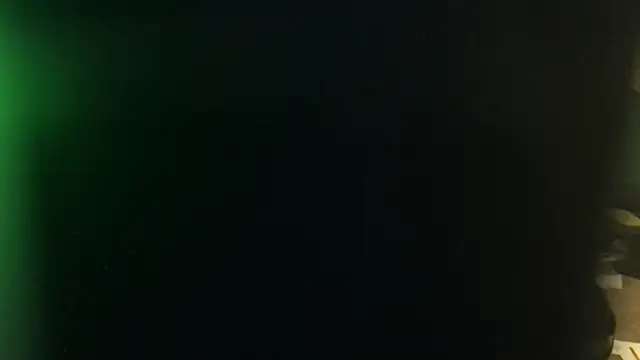 Show Webcam de KungFuPanda001