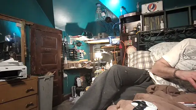 charactrzero's Webcam Show