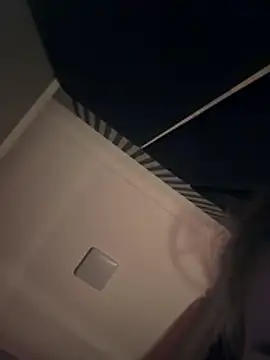 Webkamerová show VyxenLissa