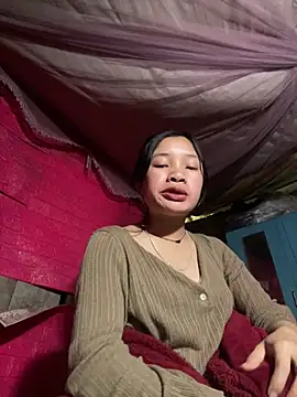 beobeo_2xx 网络视讯表演