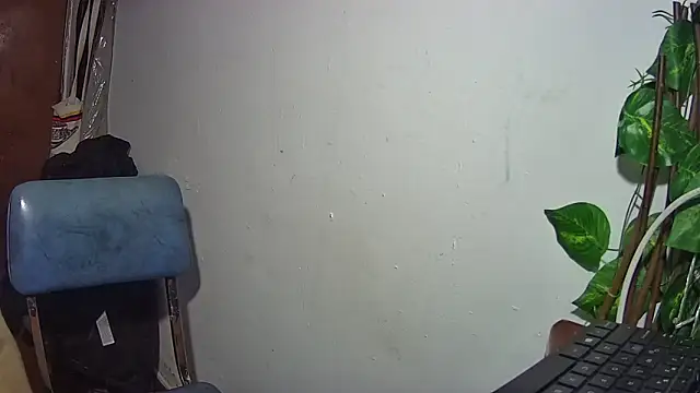 nicoltatiana_ 라이브 XXX 채팅