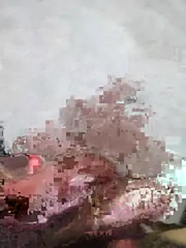 salimbasha – webcam-show