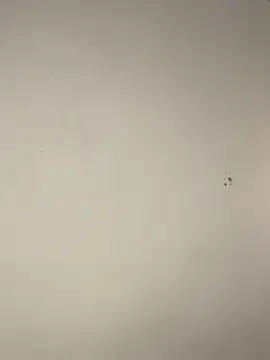 BrigitteVons Chat XXX in diretta