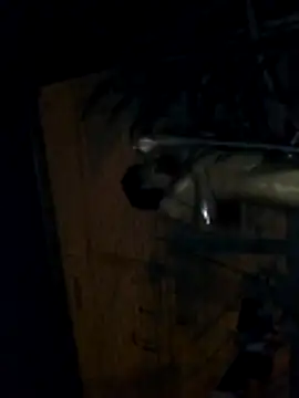 tuchokolatit0 Webcam-Show