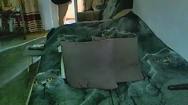 Sembang XXX Secara Langsung sex2