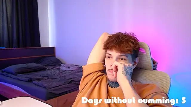 DENIS_HEREn Webbikameraesitys