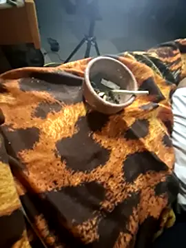 wolf297n Webbikameraesitys