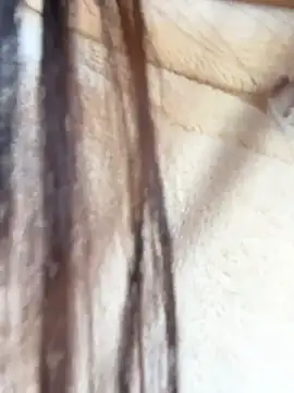 แชท XXX สดของ kara-tt