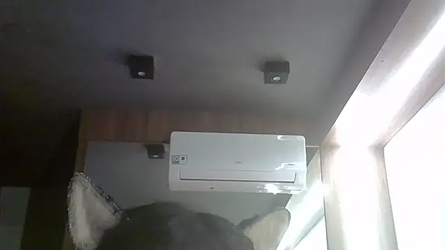 SkinnyKitten Webcam show