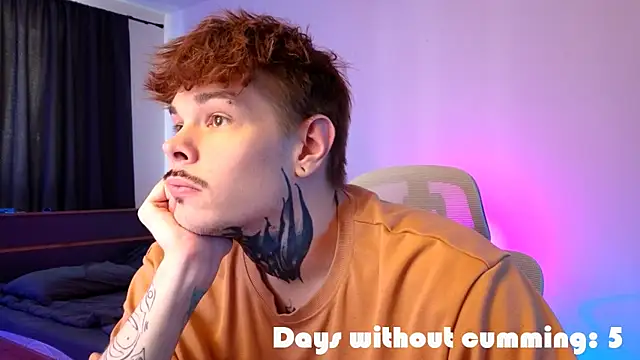 Show webcam de DENIS_HERE