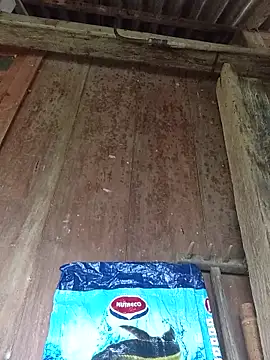 Czat XXX na żywo – dakota-kis