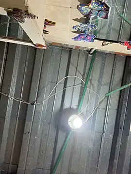 Chat +18 de SidneyBrownn_ ao vivo