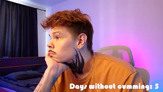 DENIS_HEREn Webbikameraesitys