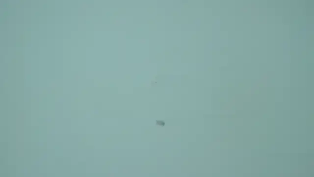 Sembang XXX Secara Langsung ElinaBellucci