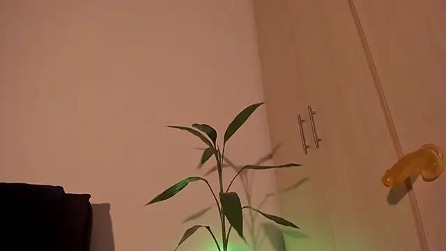 Вебкам-шоу Erickpritz_xh