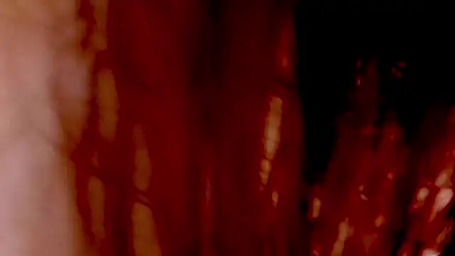 vanessa_saquirt live XXX chat