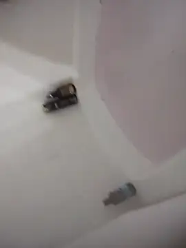 MissBella0969 Chat XXX in diretta