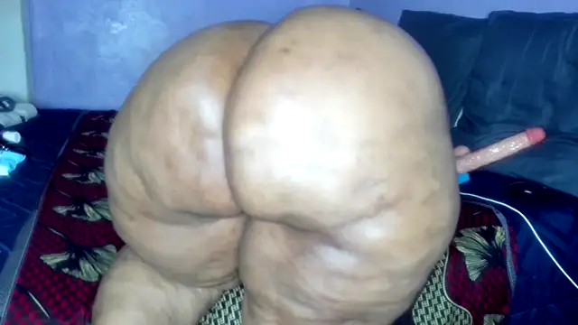 Chat XXX Live wilmaassylum