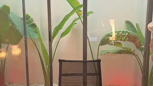 TsukiHikari – Naživo XXX chat