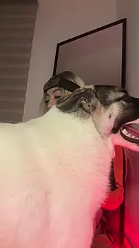 Tessa__Winslow's Webcam Show