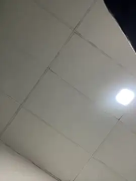 GoldenNights30n Webbikameraesitys