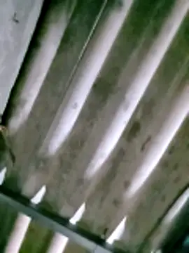 Czat XXX na żywo – ngan-cute