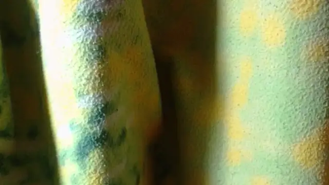 Živý XXX chat janex69