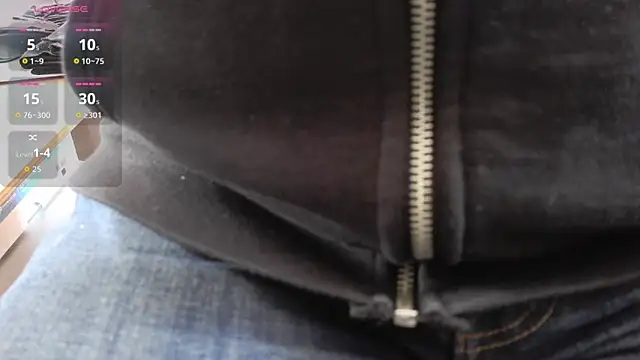 Show webcam de IndienTiger