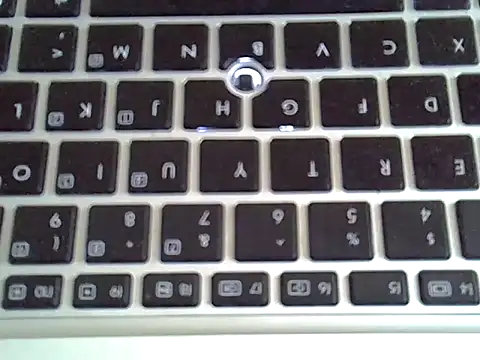 Delicious-D Webcam show