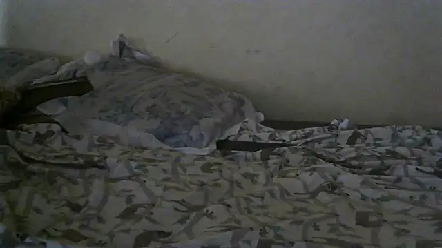 Pertunjukan Kamera Web Pearlod2