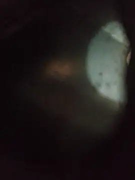 enoc369n Webbikameraesitys