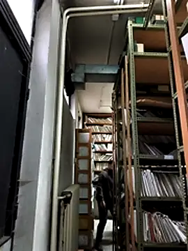 Chat +18 de Mr_Gspt ao vivo