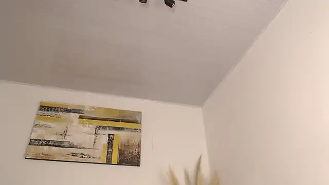 zander_2120 网络视讯表演