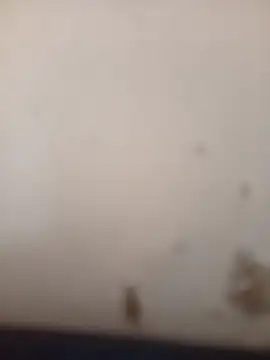 Show de webcam de ManBlackhot