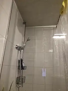 gustlgailのウェブカメラショー