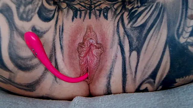 TallyHeart Webcam-Show