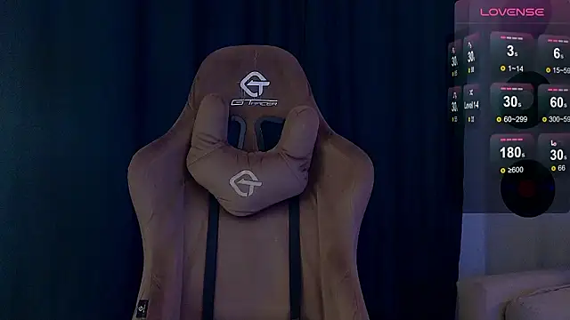 Show webcam de DebugMee