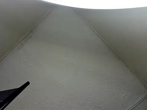 BlakeNoir_ Chat XXX live