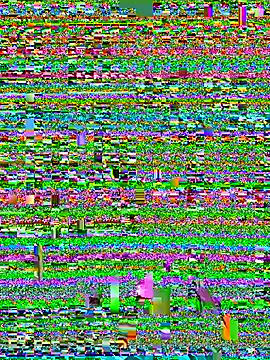 Canneela's Live XXX Chat